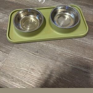 Stainless Steel Pet Bowls with Green Tray